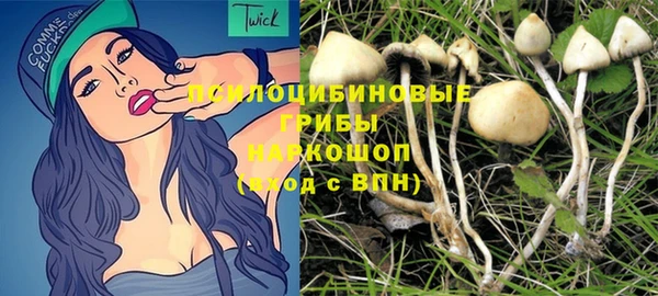 МДПВ Козельск