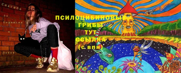 тгк Козловка