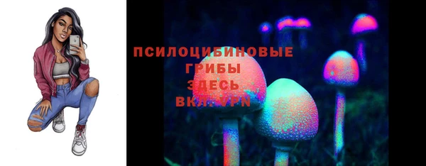 МДПВ Козельск