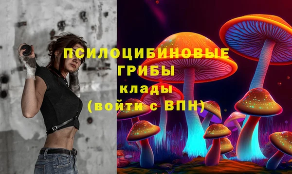 МДПВ Козельск