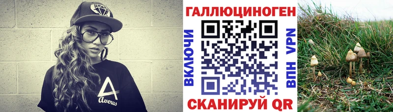 Купить где Чехов Псилоцибиновые грибы мицелий